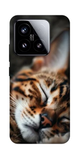 Чехол на Xiaomi 15 Cat paws фото 1 из 1