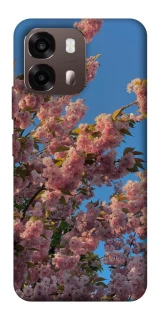 Чохол на Oppo A6 Flowers v4 фото 1 з 2
