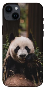 Чехол на Apple iPhone 14 Plus (6.7") Панда фото 1 из 1