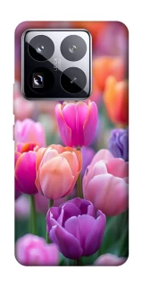 Чохол на Xiaomi 15 Pro Тюльпанове поле фото 1 з 1