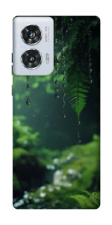 Чохол на Motorola Edge 50 Fusion rain forest фото 1 з 1