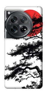 Чехол на OnePlus 12 Дух Японии v2 фото 1 из 1