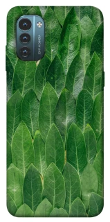 Чохол на Nokia G21 Листя фото 1 з 1