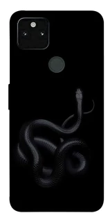 Чехол на Google Pixel 5A Black snake фото 1 из 1