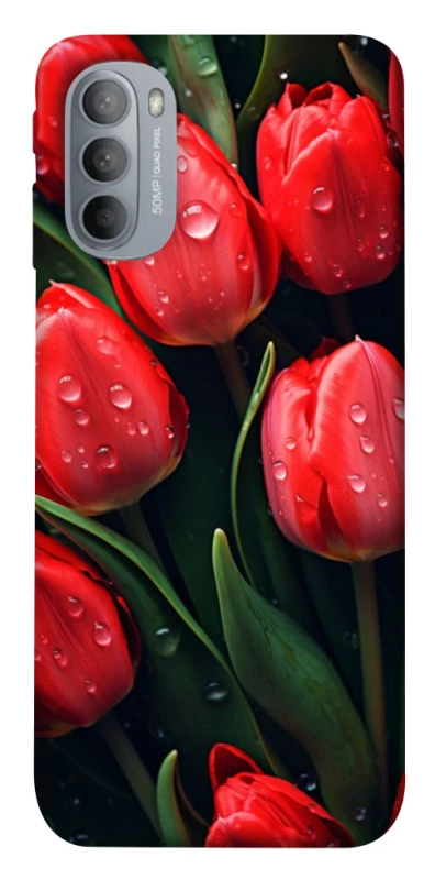 Чохол на Motorola Moto G31 Червоні тюльпани фото 1 з 1