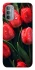Чохол на Motorola Moto G31 Червоні тюльпани фото 1 з 1