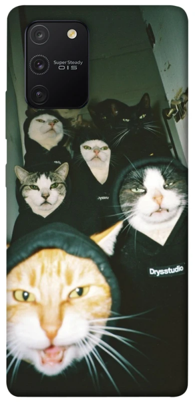 Чохол на Samsung Galaxy S10 Lite Сatsss фото 1 з 1