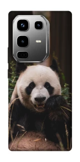 Чехол на Infinix Note 50 Pro Панда фото 1 из 1