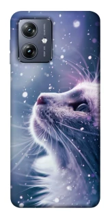 Чохол на Motorola Moto G54 Snow cat фото 1 Чохол на Motorola Moto G54 Snow cat фото 1 з 1