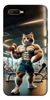 Чохол на OPPO A5 / A3S / AX5 / R15-NEO Кіт качок фото 1 з 1