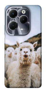 Чохол на Infinix Hot 40 Pro Лама фото 1 з 1