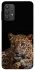 Чохол на Samsung Galaxy A32 (A325F) 4G Leopard v4 фото 1 з 1