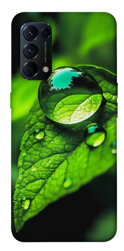 Чохол на Oppo Reno 5 4G Flowers v16 фото 1 з 1