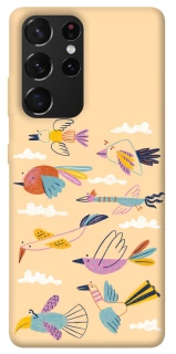 Чехол на Samsung Galaxy S21 Ultra Перелёт фото 1 из 1