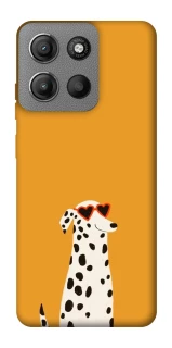 Чехол на Motorola Moto G15 4G Долматинец фото 1 из 1