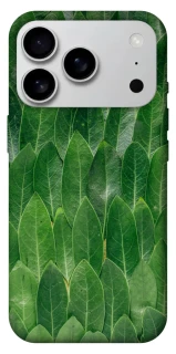 Чехол на Apple iPhone 17 Pro Max (6.9") Листья фото 1 из 1