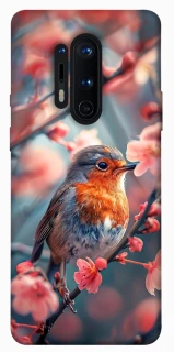 Чохол на OnePlus 8 Pro Birdie фото 1 з 1