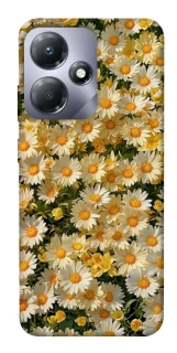 Чехол на Infinix Hot 30 Play Camomile фото 1 из 1