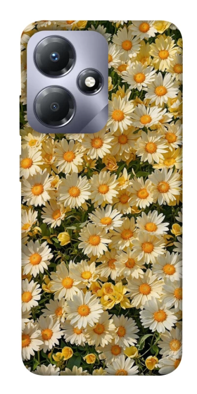 Чохол на Infinix Hot 30i Camomile фото 1 з 1