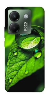 Чохол на Xiaomi Poco M7 pro 5G Flowers v16 фото 1 з 1