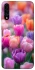 Чохол на Samsung Galaxy A50 (A505F) / A50s / A30s Тюльпанове поле фото 1 з 1