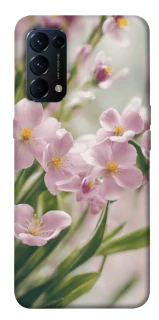 Чехол на Oppo Reno 5 4G Spring фото 1 из 1