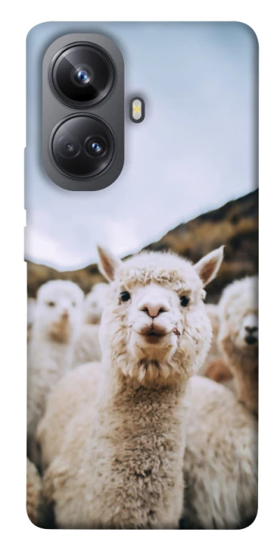 Чохол на Realme 10 Pro+ Лама фото 1 з 1