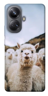 Чохол на Realme 10 Pro+ Лама фото 1 з 1