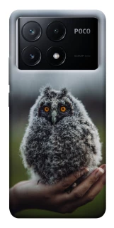 Чехол на Xiaomi Poco X6 Совёнок фото 1 из 1