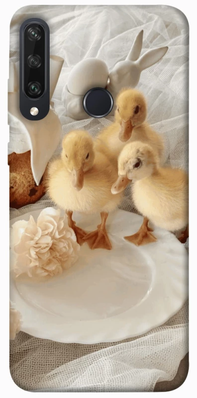 Чохол на Huawei Y6p Easter Vibes фото 1 з 1