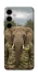 Чехол на Samsung Galaxy S25 Слон защитник фото 1 из 1