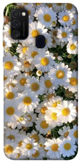 Чехол на Samsung Galaxy M30s / M21 Поле ромашек фото 1 из 1