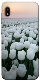 Чохол на Samsung Galaxy A10 (A105F) Flowers v1 фото 1 з 1