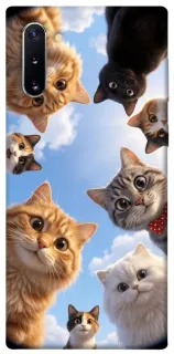 Чехол на Samsung Galaxy Note 10 Cats фото 1 из 1
