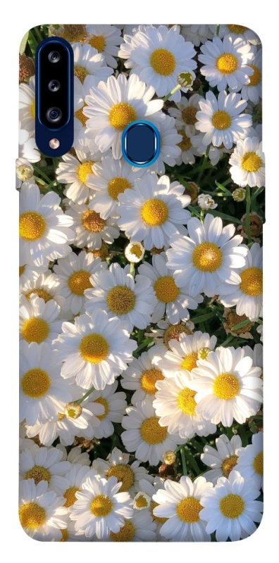 Чохол на Samsung Galaxy A20s Поле ромашок фото 1 з 1