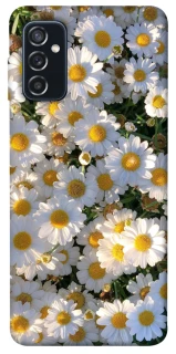 Чохол на Samsung Galaxy M52 Поле ромашок фото 1 з 1