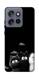 Чехол на Motorola Edge 50 Neo Three Cats фото 1 из 1