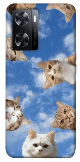 Чохол на Oppo A57s Сats фото 1 з 1