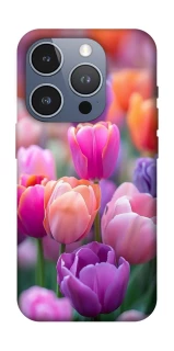 Чохол на Apple iPhone 16 Pro Тюльпанове поле фото 1 з 1