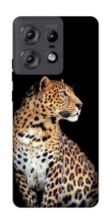 Чохол на Motorola Edge 50 Pro Leopard v2 фото 1 з 1