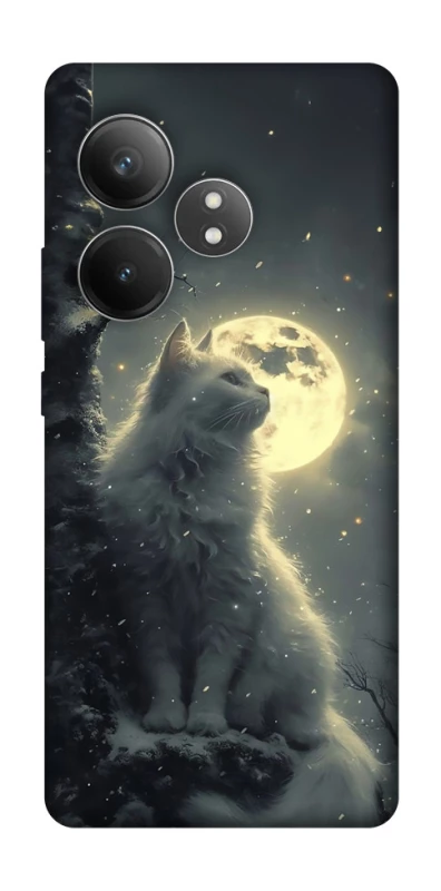Чохол на Realme GT Neo 6 SE Кіт під місяцем фото 1 з 1
