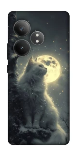 Чохол на Realme GT Neo 6 SE Кіт під місяцем фото 1 з 1