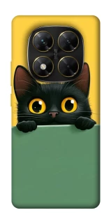 Чохол на Xiaomi Poco X7 Black cat v2 фото 1 з 1