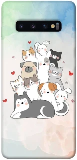 Чохол на Samsung Galaxy S10+ Funny Pets ver.2 фото 1 з 1
