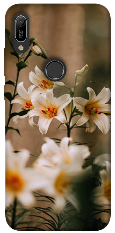 Чохол на Huawei Y6 (2019) Лілії фото 1 з 1