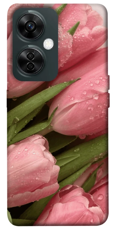 Чохол на OnePlus Nord CE 3 Lite Beauty фото 1 з 1