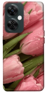 Чехол на OnePlus Nord CE 3 Lite Beauty фото 1 из 1