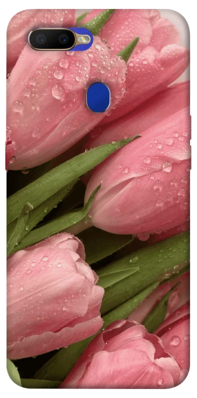 Чохол на Oppo A5s Beauty фото 1 з 1