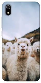 Чохол на Xiaomi Redmi 7A Лама фото 1 з 1