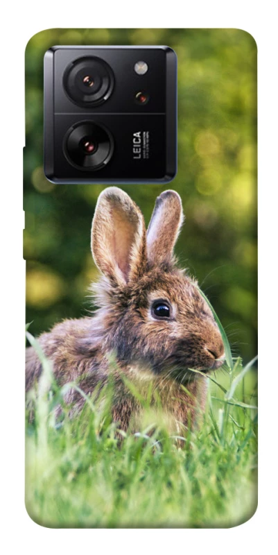 Чехол на Xiaomi 13T Кролики фото 1 из 1